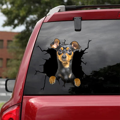 [bh0327-snf-tnt]-miniature-pinscher-crack-car-sticker-dogs-lover