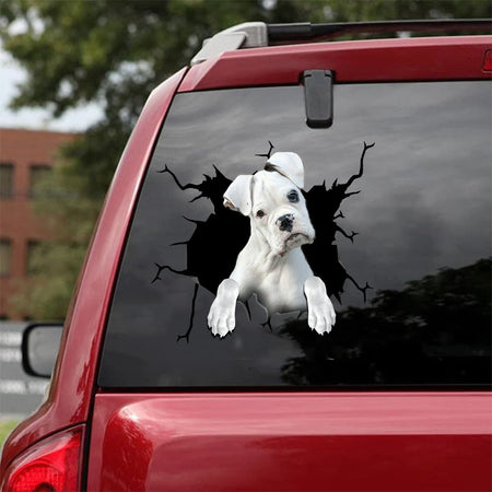 [bh0332-snf-lad]-boxer-crack-car-sticker-dogs-lover