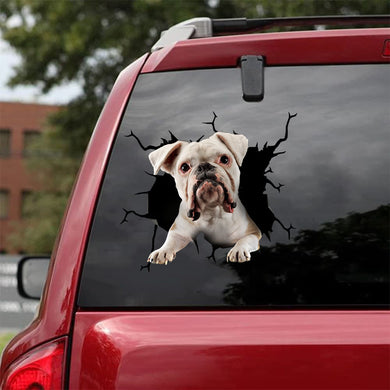 [bh0333-snf-lad]-boxer-crack-car-sticker-dogs-lover