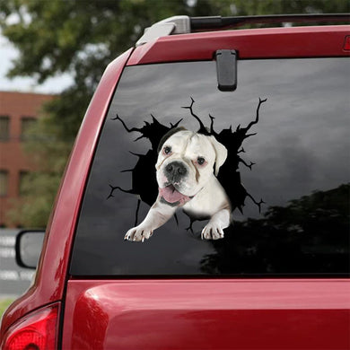 [bh0337-snf-lad]-boxer-crack-car-sticker-dogs-lover