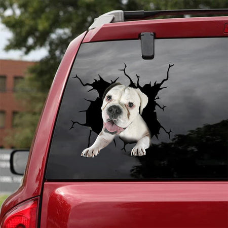 [bh0337-snf-lad]-boxer-crack-car-sticker-dogs-lover