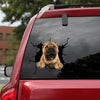 [bh0381-snf-tnt]-shar-pei-crack-car-sticker-dogs-lover