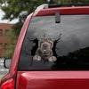 [bh0384-snf-tnt]-shar-pei-crack-car-sticker-dogs-lover