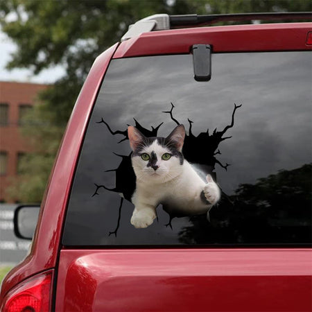 [bh0406-snf-tnt]-cat-crack-car-sticker-cats-lover