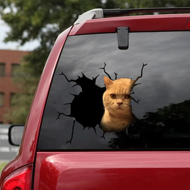 [bh0407-snf-tnt]-cat-crack-car-sticker-cats-lover