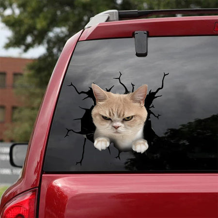 [bh0413-snf-tnt]-cat-crack-car-sticker-cats-lover