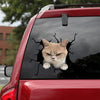 [bh0413-snf-tnt]-cat-crack-car-sticker-cats-lover
