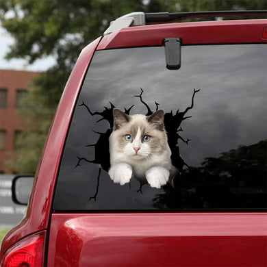 [bh0445-snf-tnt]-ragdoll-cat-crack-car-sticker-cats-lover