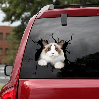 [bh0446-snf-tnt]-ragdoll-cat-crack-car-sticker-cats-lover