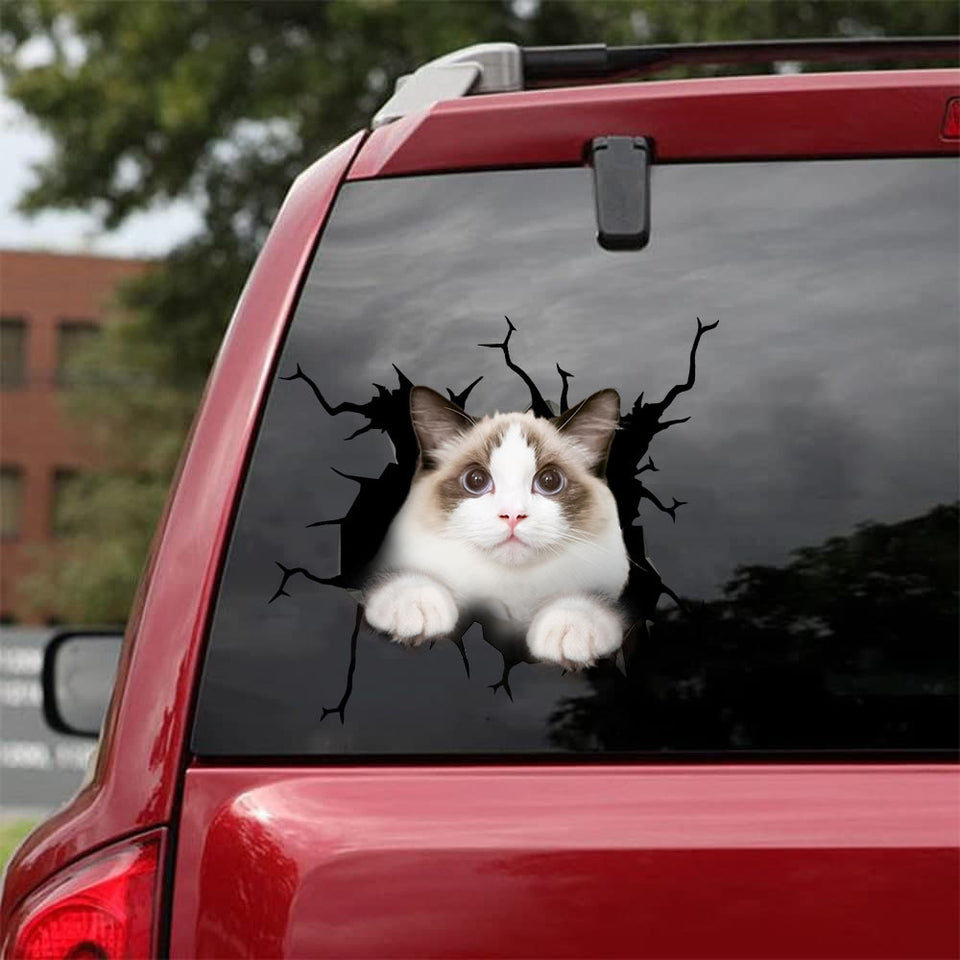 [bh0446-snf-tnt]-ragdoll-cat-crack-car-sticker-cats-lover