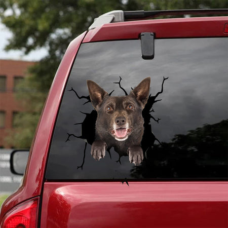[bh0454-snf-tnt]-australian-kelpie-crack-car-sticker-dogs-lover