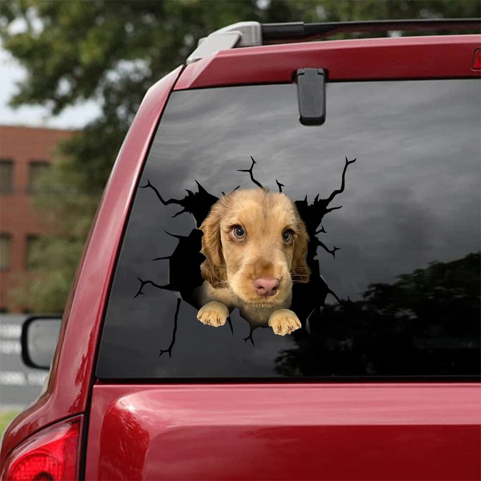 [bh0456-snf-lad]-dachshund-crack-car-sticker-dogs-lover