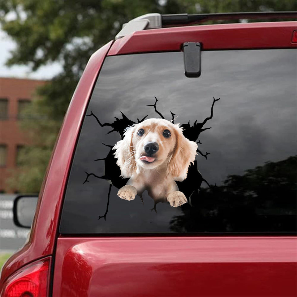 [bh0457-snf-lad]-dachshund-crack-car-sticker-dogs-lover