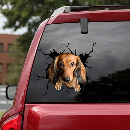 [bh0460-snf-lad]-dachshund-crack-car-sticker-dogs-lover