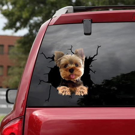 [bh0464-snf-lad]-yorkshire-terriers-crack-car-sticker-dogs-lover