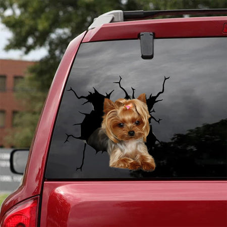 [bh0465-snf-lad]-yorkshire-terriers-crack-car-sticker-dogs-lover