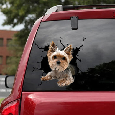 [bh0466-snf-lad]-yorkshire-terriers-crack-car-sticker-dogs-lover