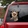 [bh0466-snf-lad]-yorkshire-terriers-crack-car-sticker-dogs-lover