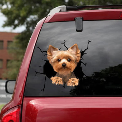 [bh0467-snf-lad]-yorkshire-terrier-crack-car-sticker-dogs-lover