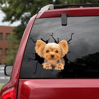 [bh0468-snf-lad]-yorkshire-terrier-crack-car-sticker-dogs-lover