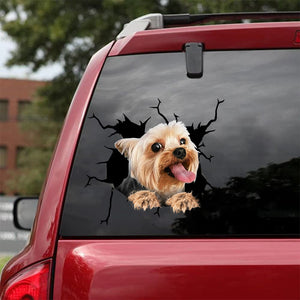 [bh0470-snf-lad]-yorkshire-terrier-crack-car-sticker-dogs-lover