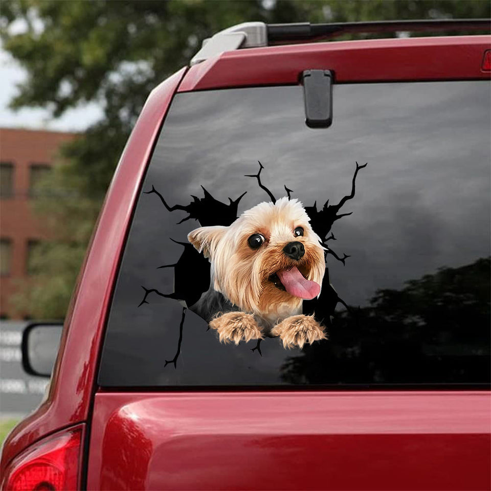 [bh0470-snf-lad]-yorkshire-terrier-crack-car-sticker-dogs-lover