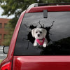 [bv0026-snf-vdt]-custom-dog-crack-car-sticker-dogs-lover
