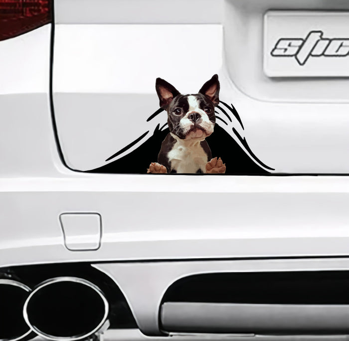 boston-terrier-crack-sticker-dogs-lover