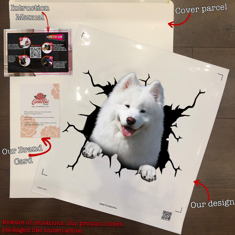 Samoyed Crack Sticker Album Hot Bumper Stickers Best Subscription Boxes