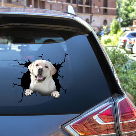 Labrador Crack Sticker Chart Likeable Custom Decals 20th Anniversary Gift
