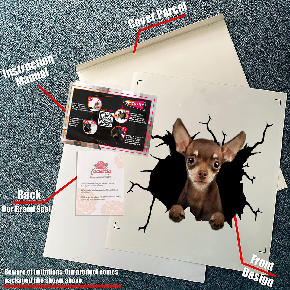 Chihuahua Crack Bone Sticker Super Cute Car Sticker Anniversary Gifts For Her