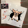 Chihuahua Crack Sticker For Car Window Nice Vinyl Sticker Maker 30th Birthday Gift Ideas