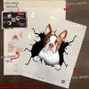 Boston Terrier Crack Decals For Cars A Cute Label Paper Unique Gifts