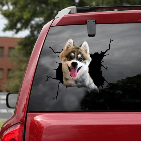 [dt0012-snf-lad]-pomsky-crack-car-sticker-dogs-lover