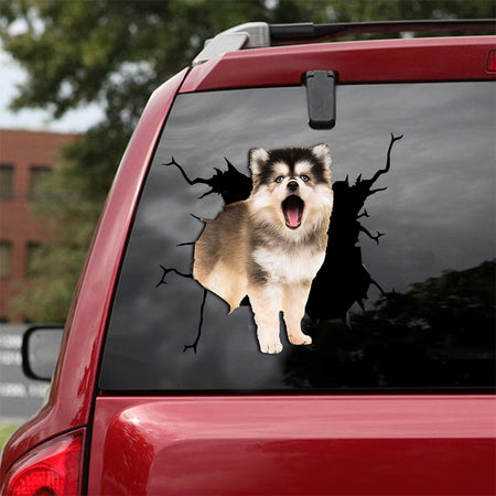 [dt0014-snf-lad]-pomsky-crack-car-sticker-dogs-lover