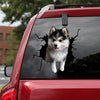 [dt0015-snf-lad]-pomsky-crack-car-sticker-dogs-lover