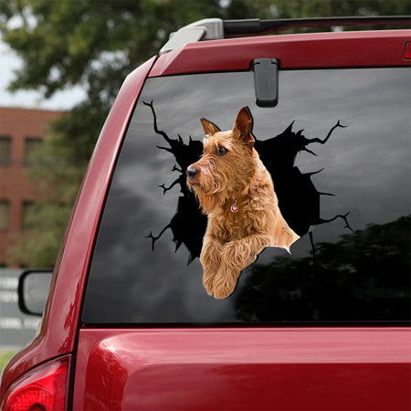 [dt0016-snf-lad]-irish-terrier-crack-car-sticker-dogs-lover