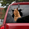 [dt0016-snf-lad]-irish-terrier-crack-car-sticker-dogs-lover