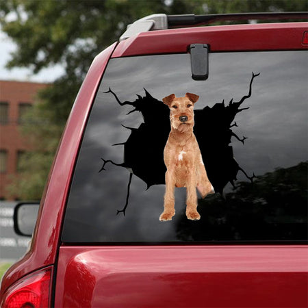[dt0018-snf-lad]-irish-terrier-crack-car-sticker-dogs-lover