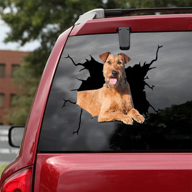 [dt0019-snf-lad]-irish-terrier-crack-car-sticker-dogs-lover