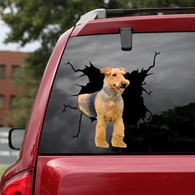 [dt0020-snf-lad]-irish-terrier-crack-car-sticker-dogs-lover