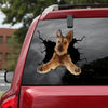 [dt0021-snf-lad]-irish-terrier-crack-car-sticker-dogs-lover