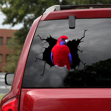 [dt0024-snf-tnt]-crimson-rosella-crack-car-sticker-birds-lover