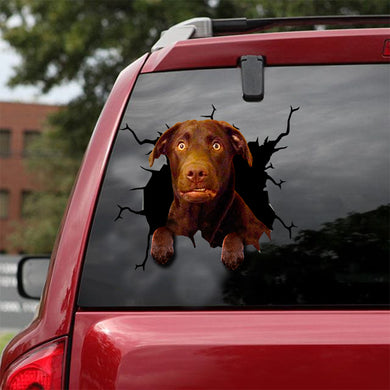 [dt0039-snf-lad]-labrador-retrievers-crack-car-sticker-dogs-lover