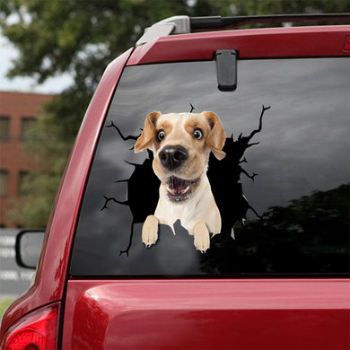 [dt0041-snf-lad]-labrador-retrievers-crack-car-sticker-dogs-lover