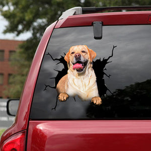 [dt0045-snf-lad]-labrador-retrievers-crack-car-sticker-dogs-lover