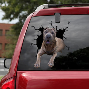 [dt0055-snf-lad]-shar-pei-crack-car-sticker-dogs-lover