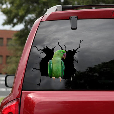 [dt0070-snf-tnt]-alexandrine-parrot-crack-car-sticker-birds-lover