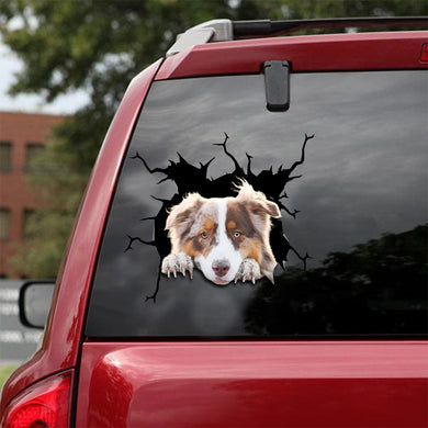 [dt0073-snf-lad]-australian-shepherds-crack-car-sticker-dogs-lover