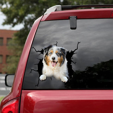 [dt0076-snf-lad]-australian-shepherds-crack-car-sticker-dogs-lover